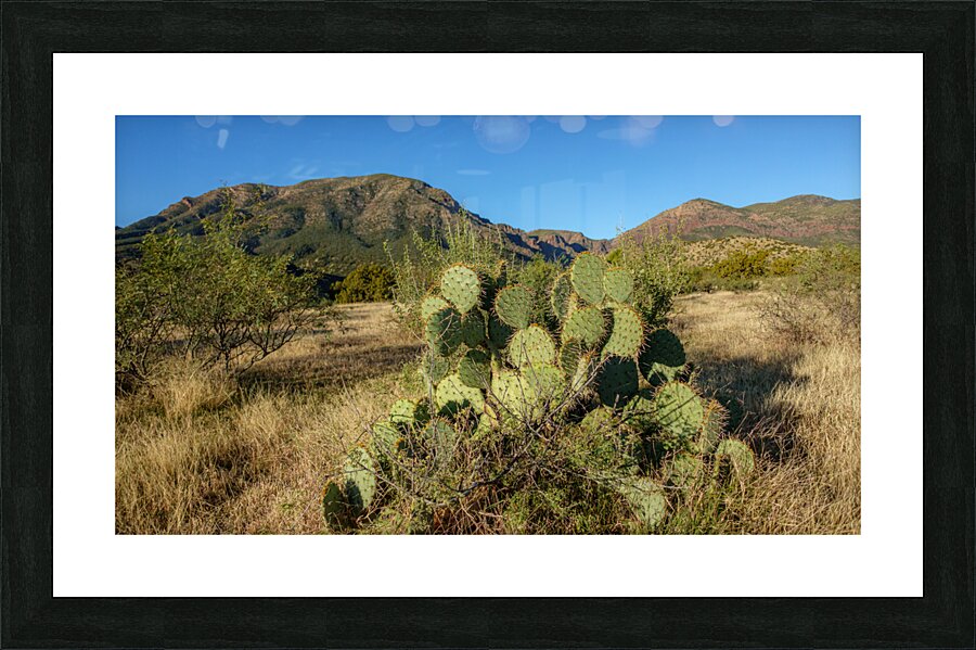 Barnhardt Trail 1 Picture Frame print