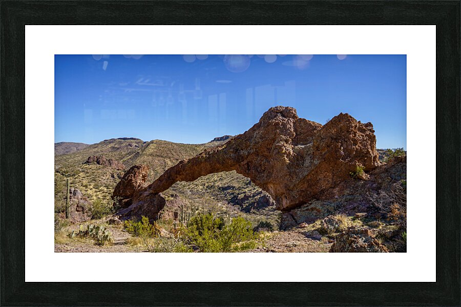 Elephant Arch  Picture Frame print