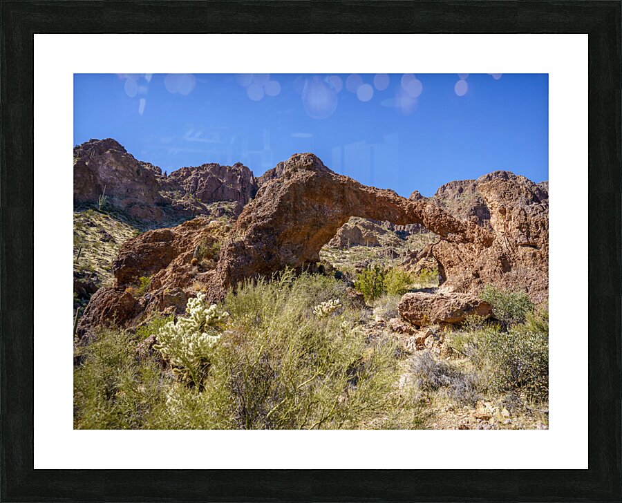 Elephant Arch 2 Picture Frame print