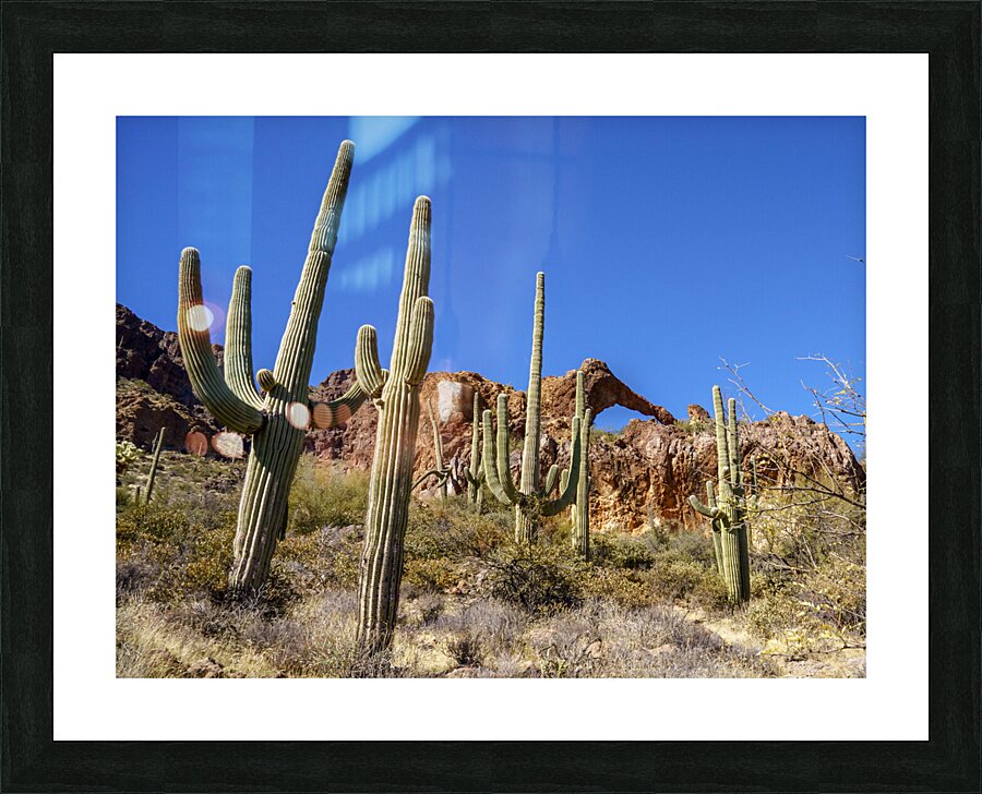 Elephant Arch 3 Picture Frame print