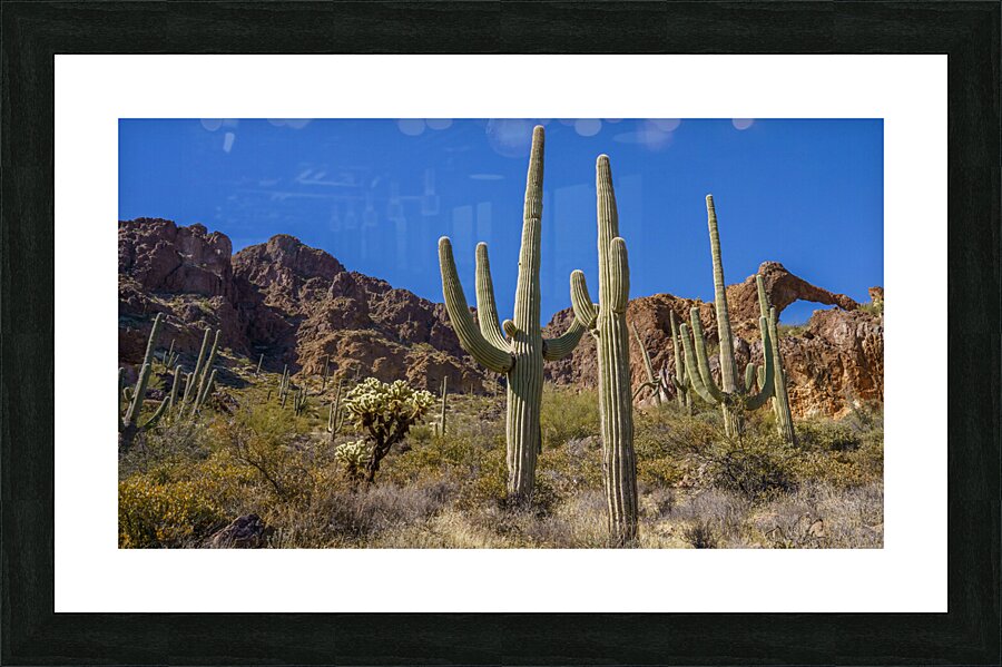 Elephant Arch 5 Picture Frame print