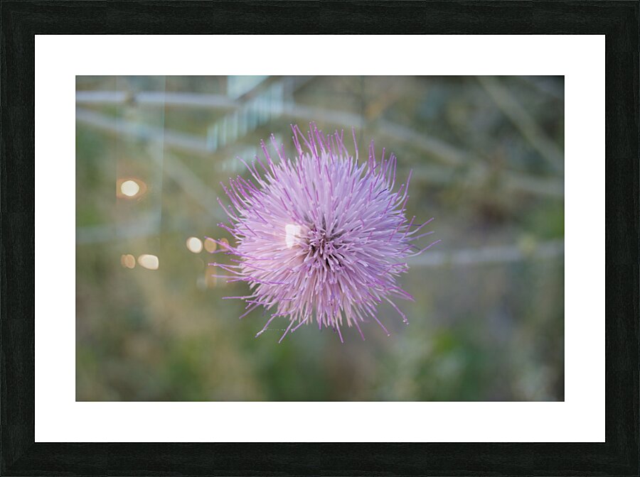 Macro 8 Picture Frame print