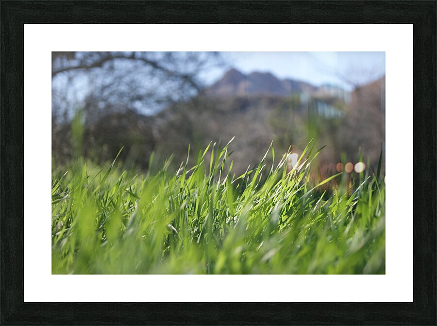 Macro Picture Frame print