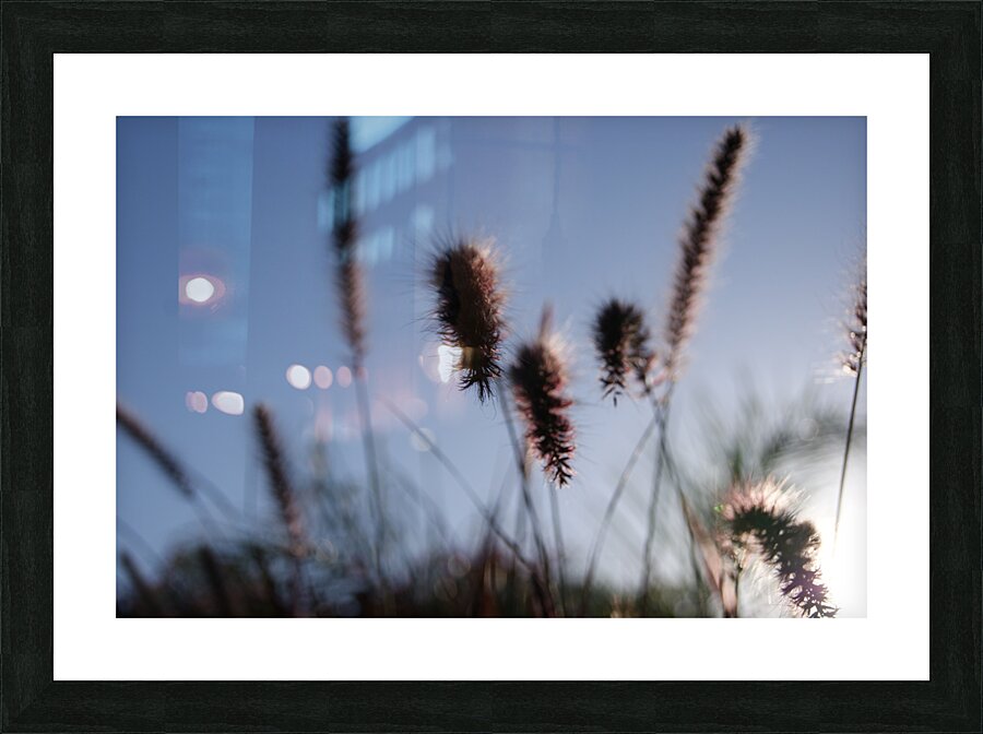 Macro 7 Picture Frame print