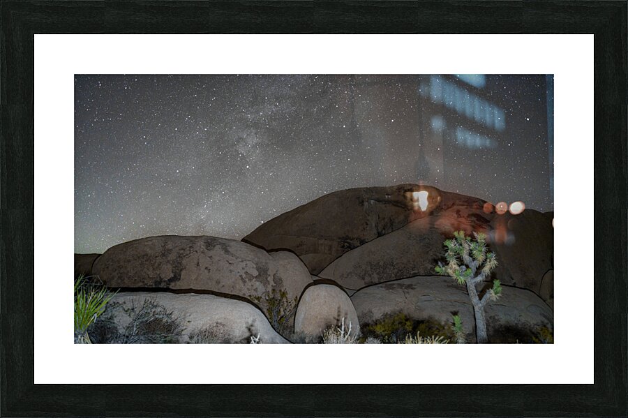 Joshua Tree NP 2 Picture Frame print