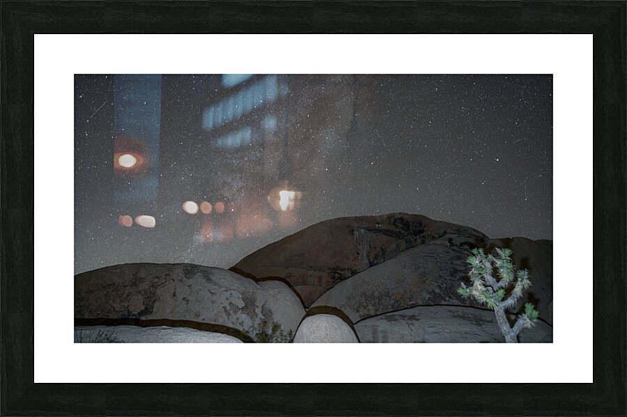 Joshua Tree NP 6 Picture Frame print