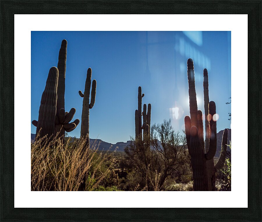 Superstition Mountains 7 Picture Frame print