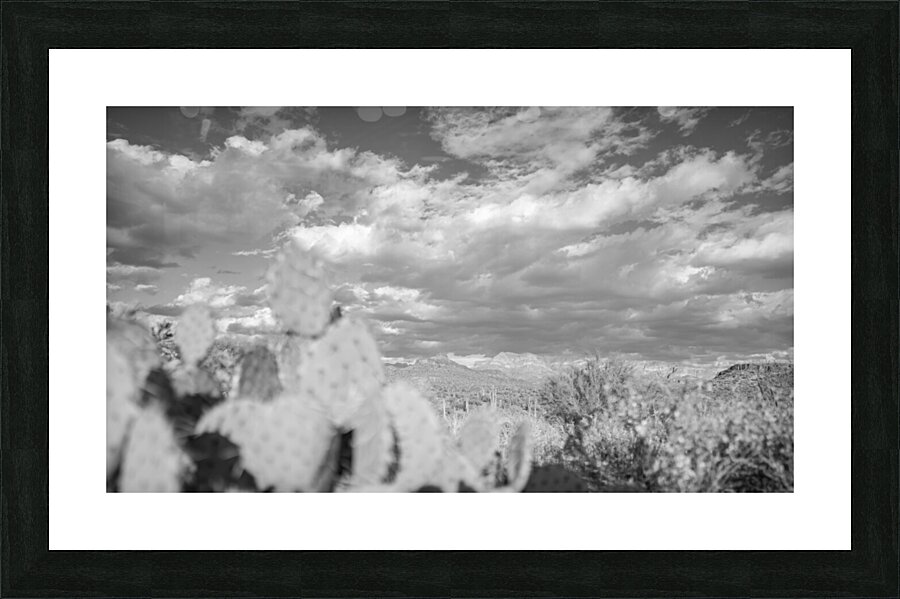 Superstition Mountains Picture Frame print