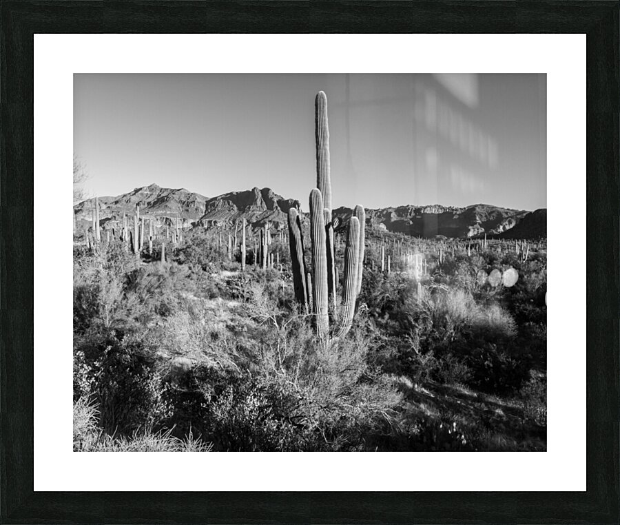 Superstition Mountains 4 Picture Frame print