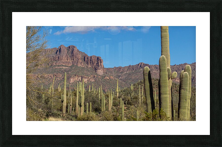 Superstition Mountains 6 Picture Frame print