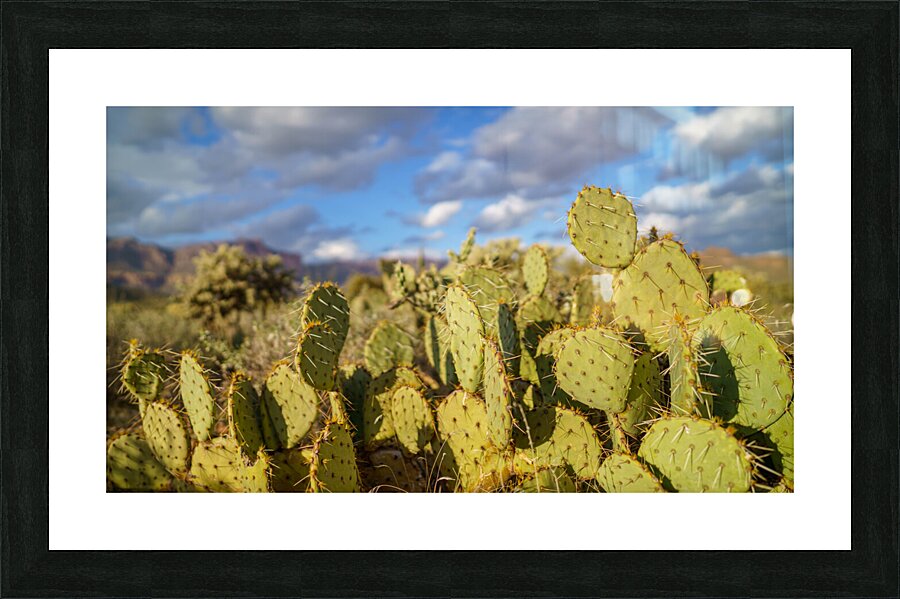 Superstition Mountains Picture Frame print