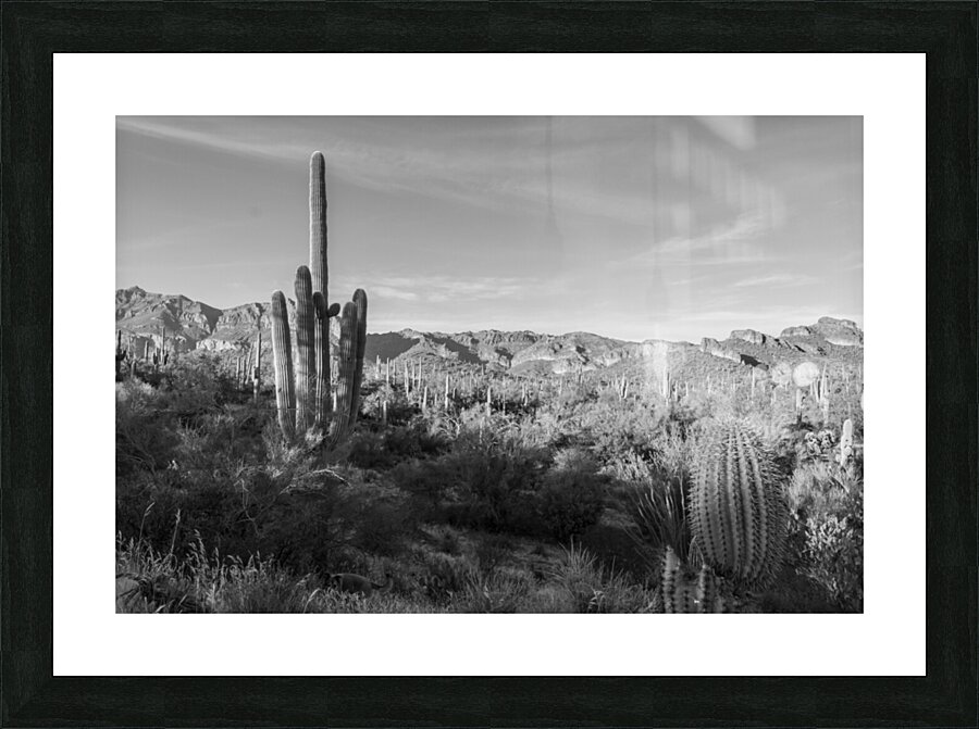 Superstition Mountains 3 Picture Frame print