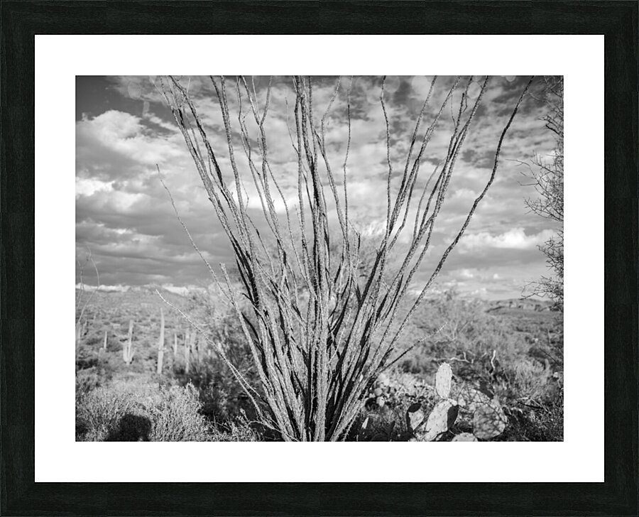 Superstition Mountains Picture Frame print