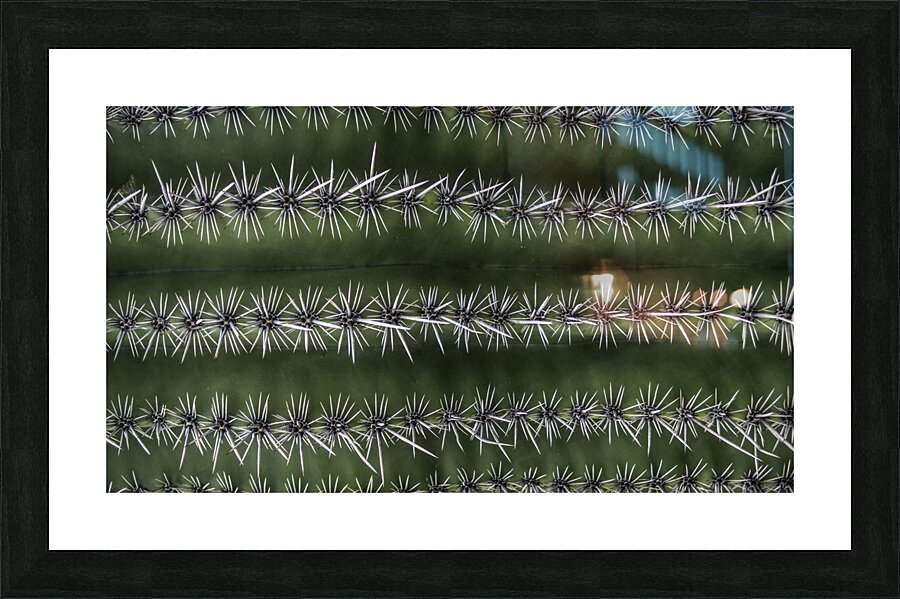 Peralta Trail  Picture Frame print