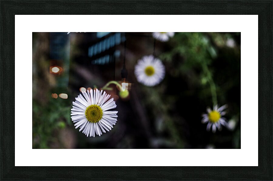 Peralta Trail  Picture Frame print