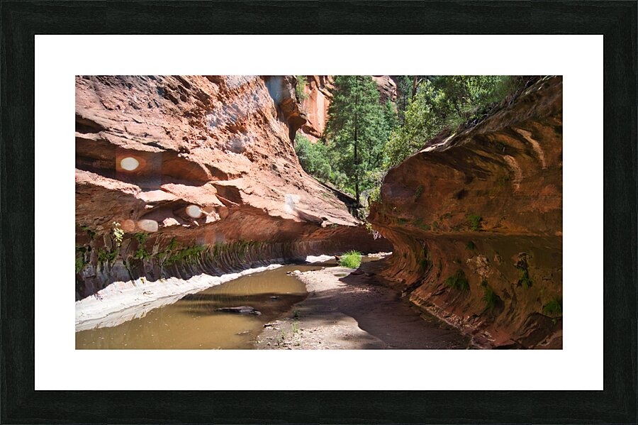 West Fork 5 Picture Frame print
