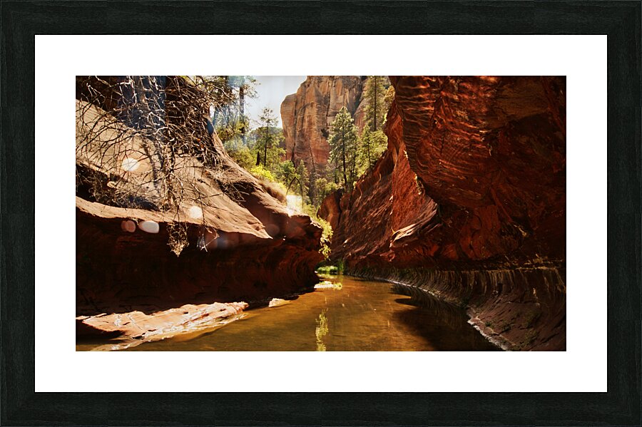 West Fork 2 Picture Frame print