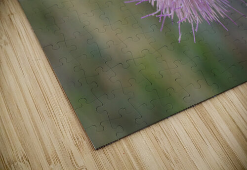 Macro 8 Dubeyscape puzzle
