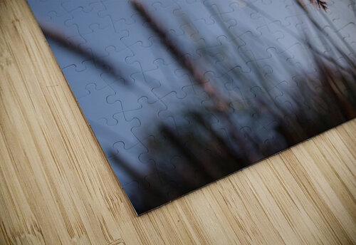 Macro 7 Dubeyscape puzzle
