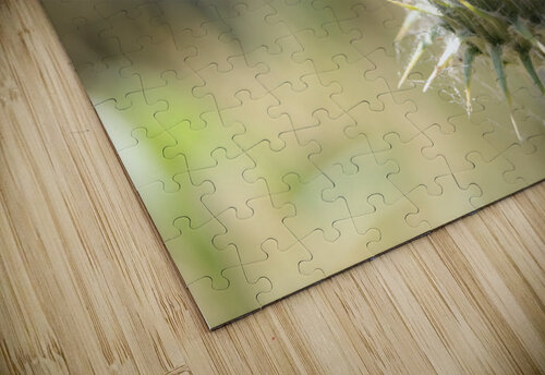 Macro 1 Dubeyscape puzzle