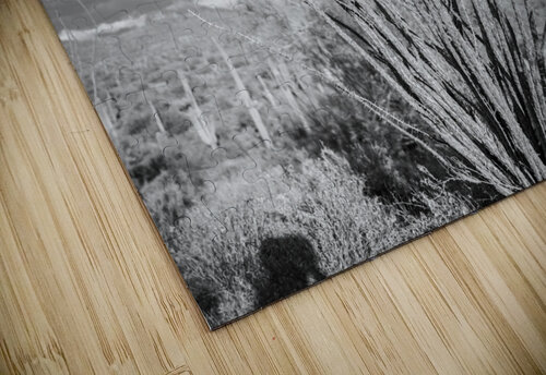 Superstition Mountains Dubeyscape puzzle