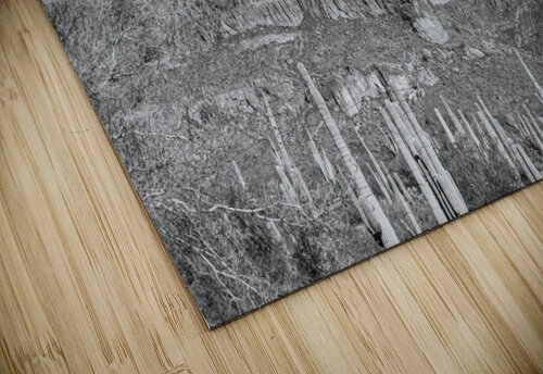 Superstition Mountains 5 Dubeyscape puzzle