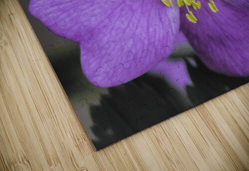 Flower 3 Dubeyscape puzzle