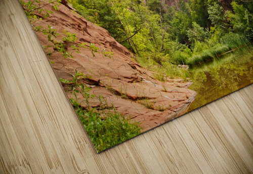 West Fork 3 Dubeyscape puzzle