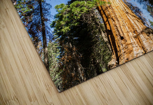 Sequoia NP Dubeyscape puzzle