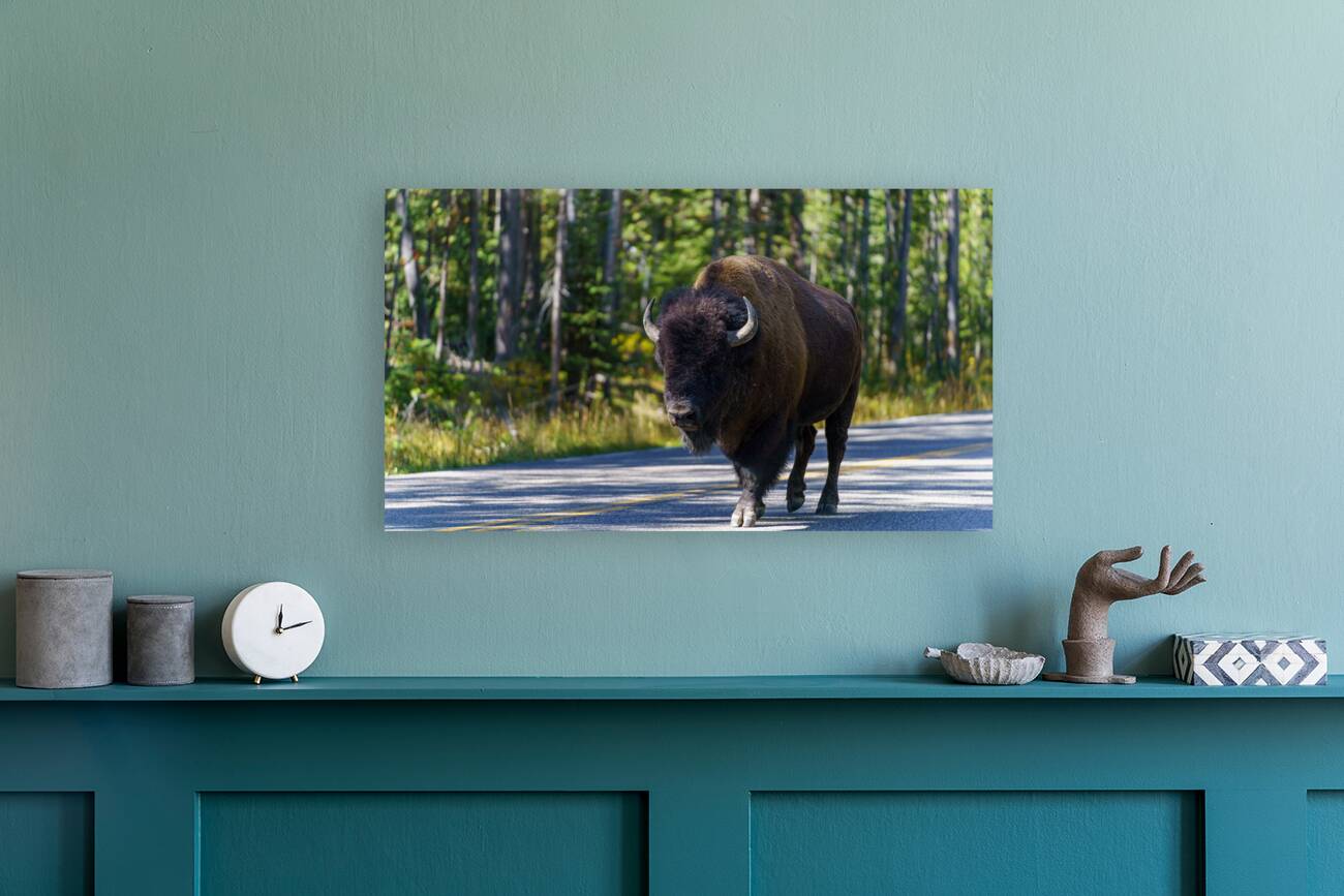 Yellowstone NP Reproduction