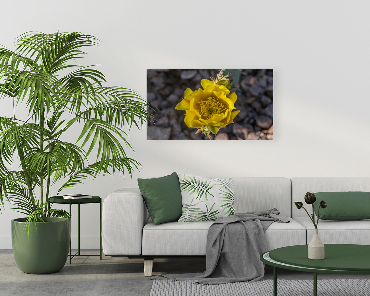 Dessert Flower Reproduction