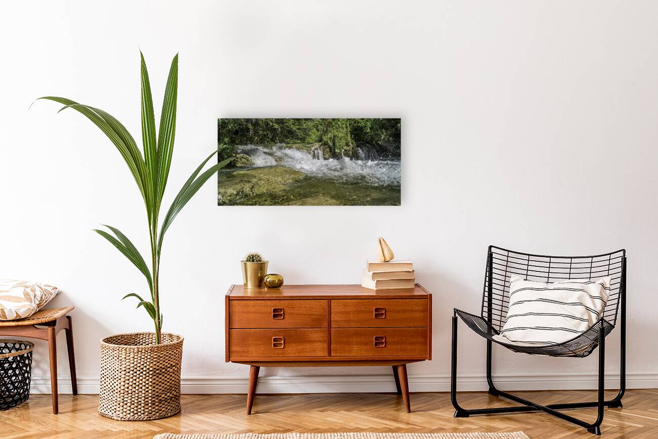 Fossil Creek  Reproduction