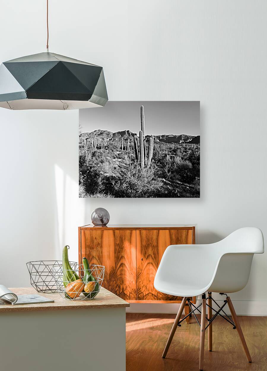 Superstition Mountains 4 Reproduction
