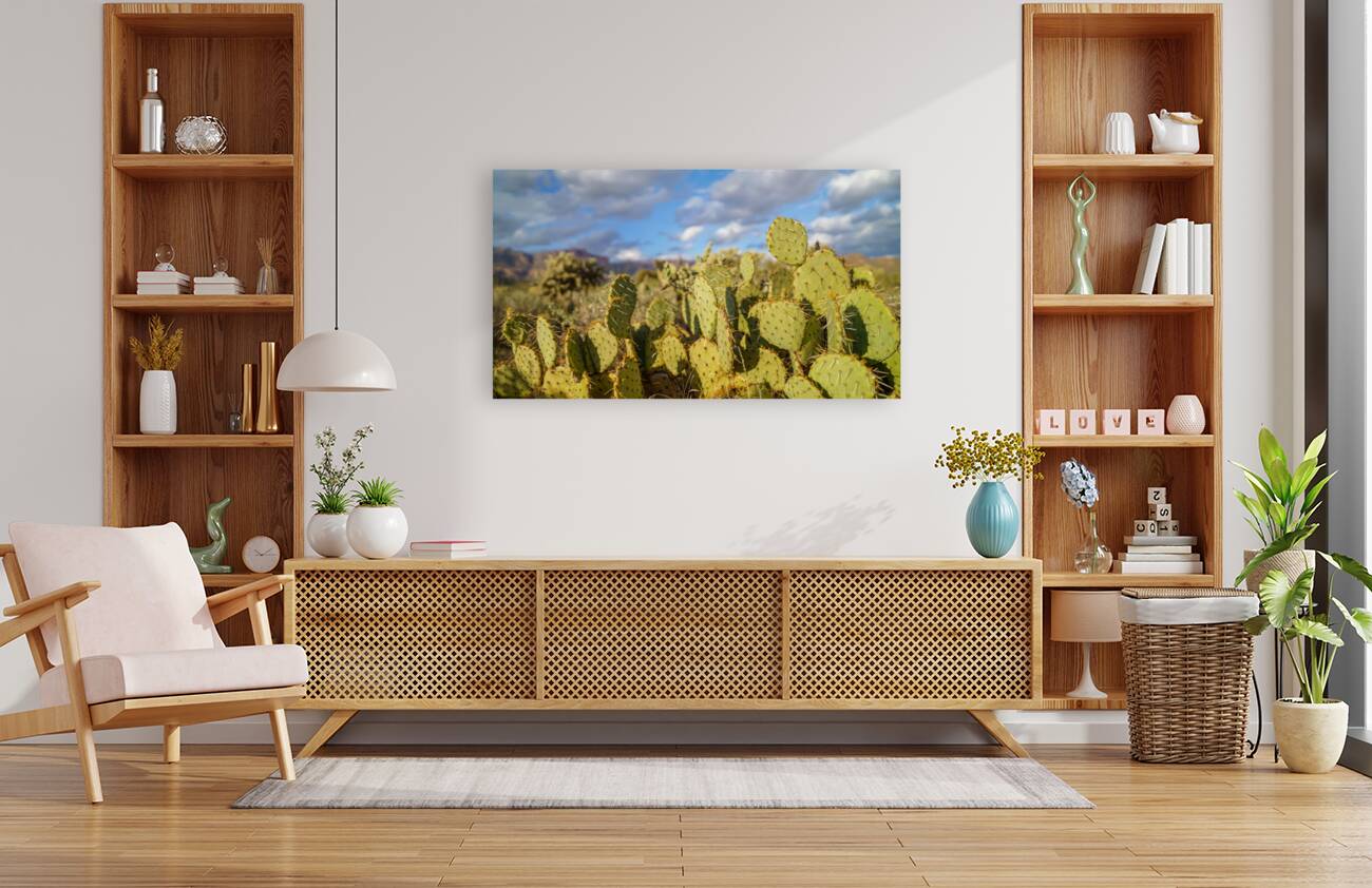 Superstition Mountains Reproduction