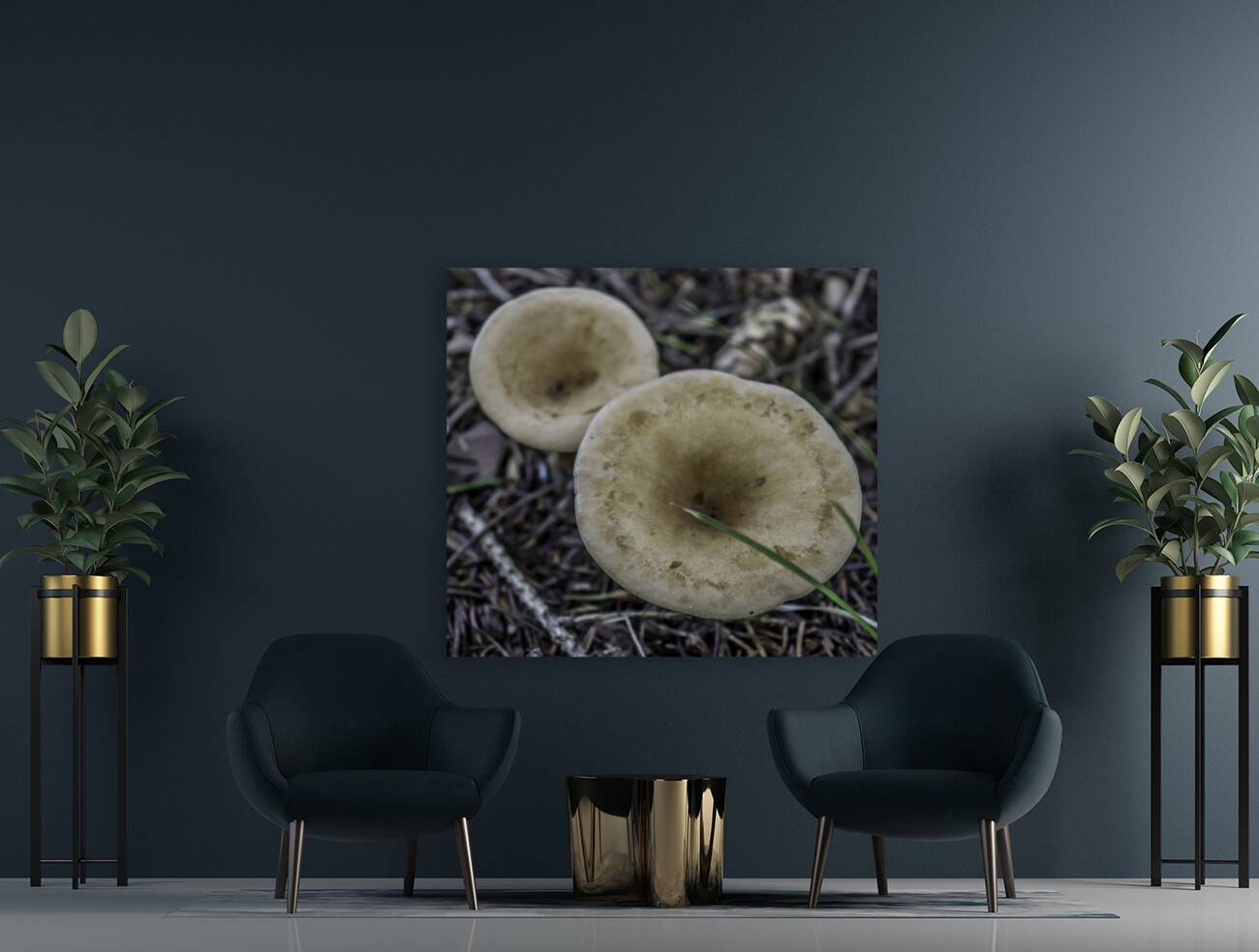 Shroom Reproduction