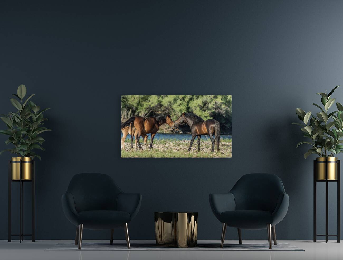 Salt River Horses 6 Reproduction