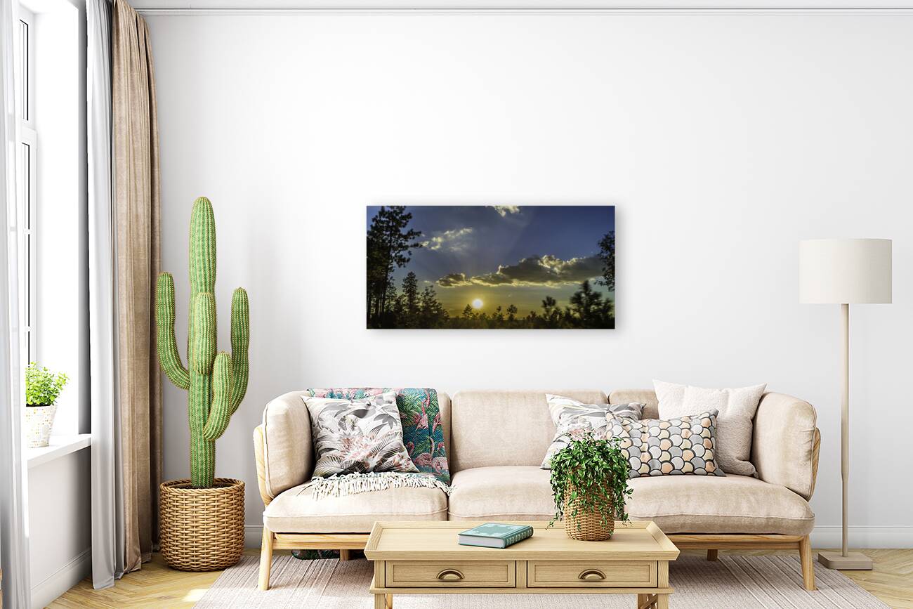 Forest Sunset Reproduction