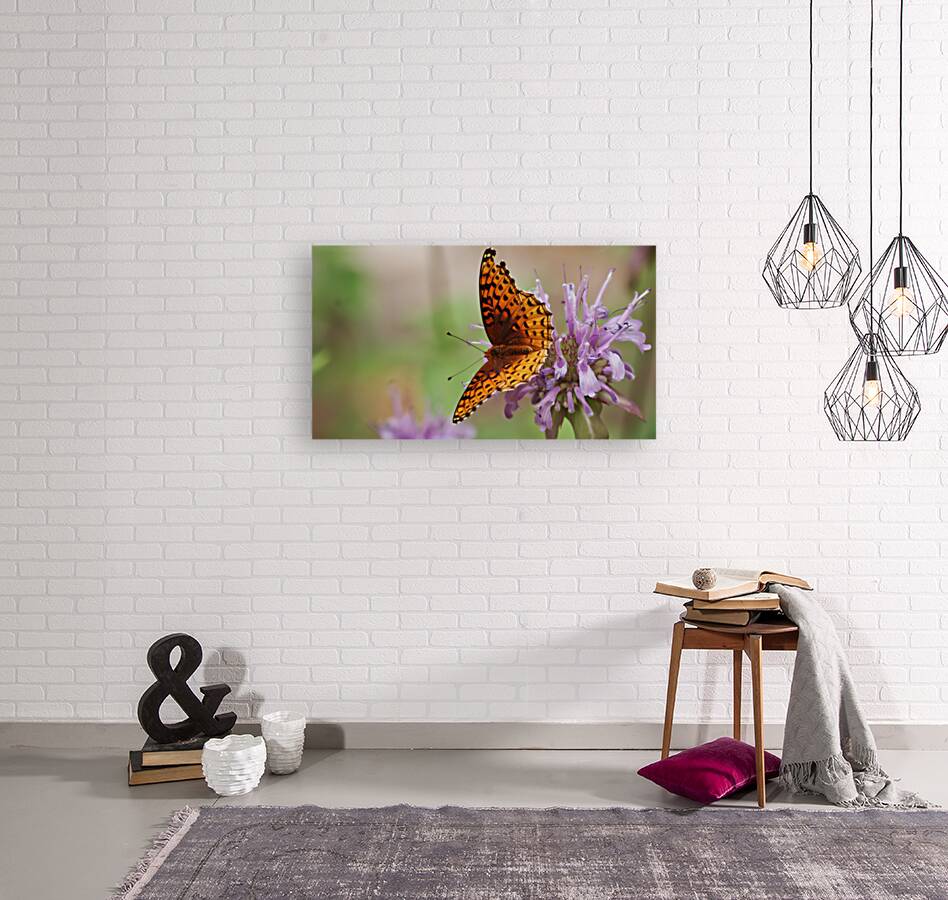 Butterfly 2 Reproduction