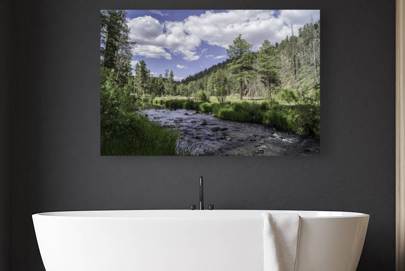 Black River Reproduction