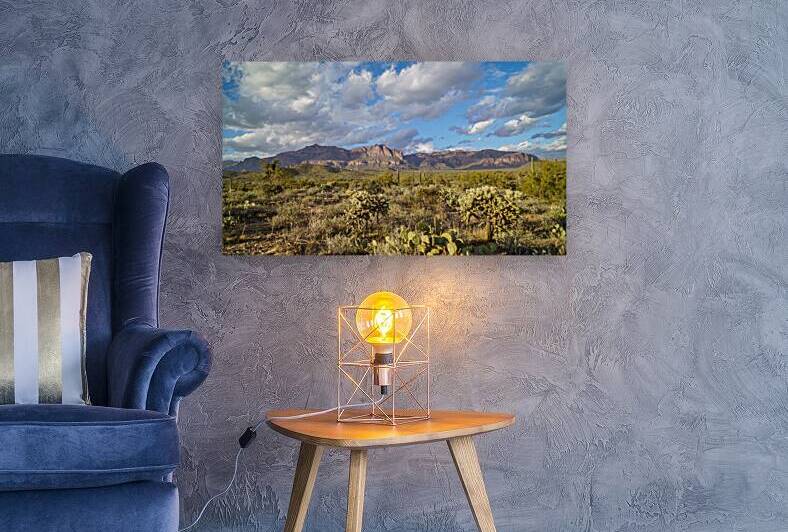 Superstition Mountains by Dubeyscape