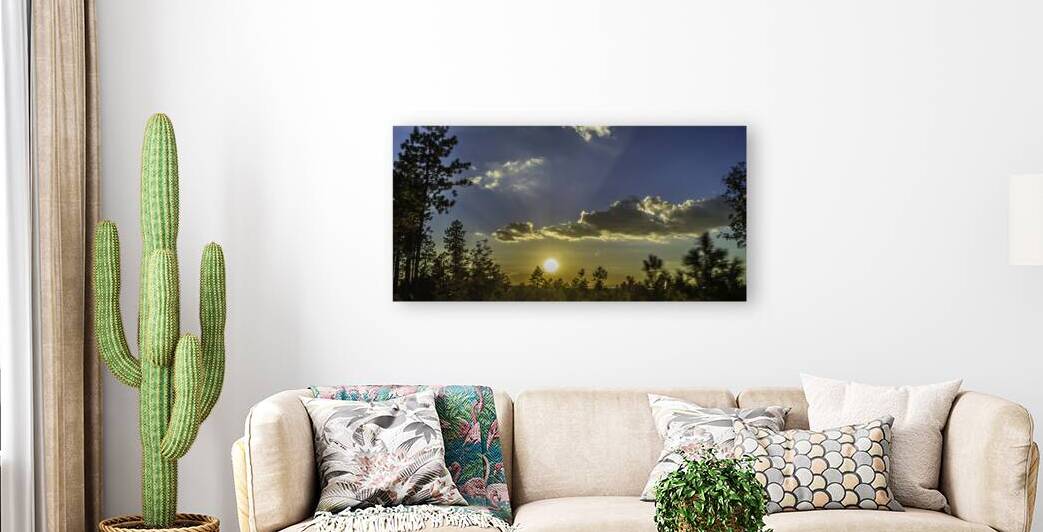 Forest Sunset Reproduction