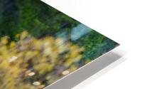 Yellowstone NP 6 HD Metal print