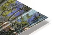 Camping with Aspens  HD Metal print