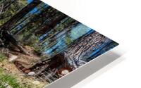 East Verde River HD Metal print