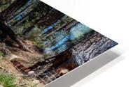 East Verde River 2 HD Metal print