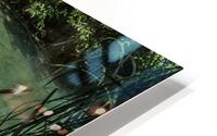 Fossil Creek 2 HD Metal print