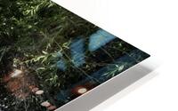 Fossil Creek  HD Metal print
