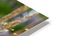 Oak Creek HD Metal print