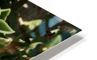 Macro 9 HD Metal print