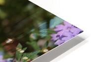 Macro 6 HD Metal print